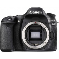 Canon EOS 80D (18-135mm Lens)
